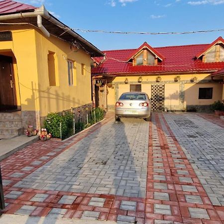 Casa Andreea Otel Novaci-Străini Dış mekan fotoğraf