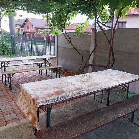 Casa Andreea Otel Novaci-Străini Dış mekan fotoğraf